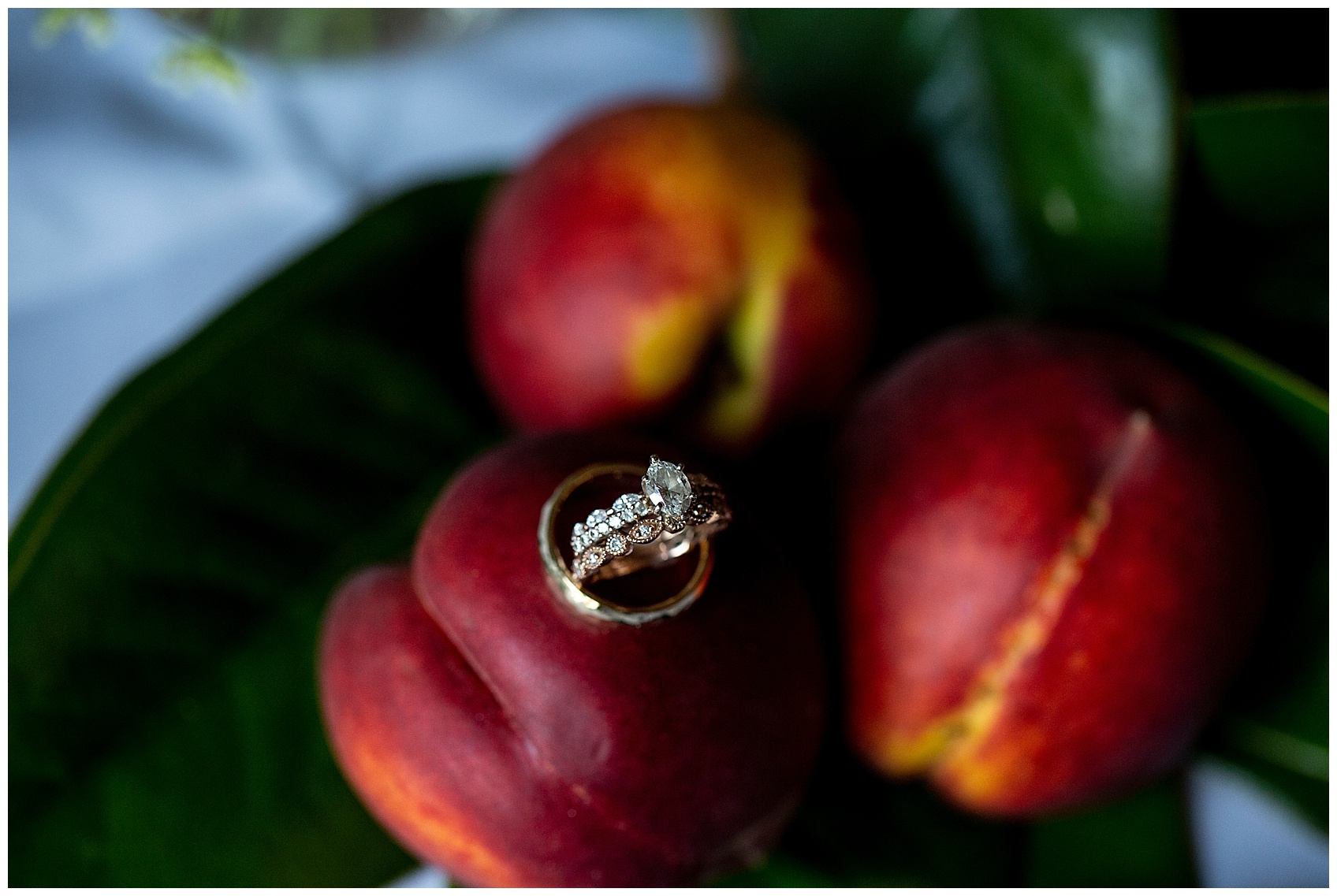 Augusta Wedding Photographer