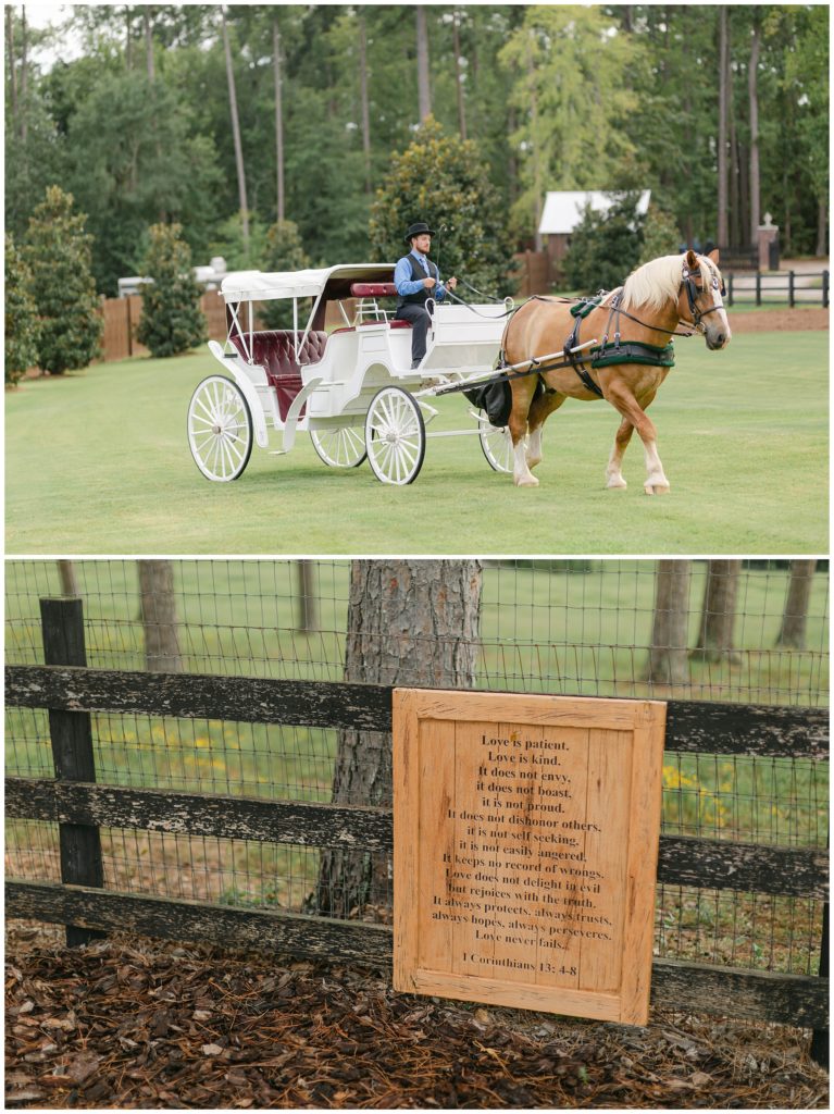 wedding horse and carriage / love is patient sign