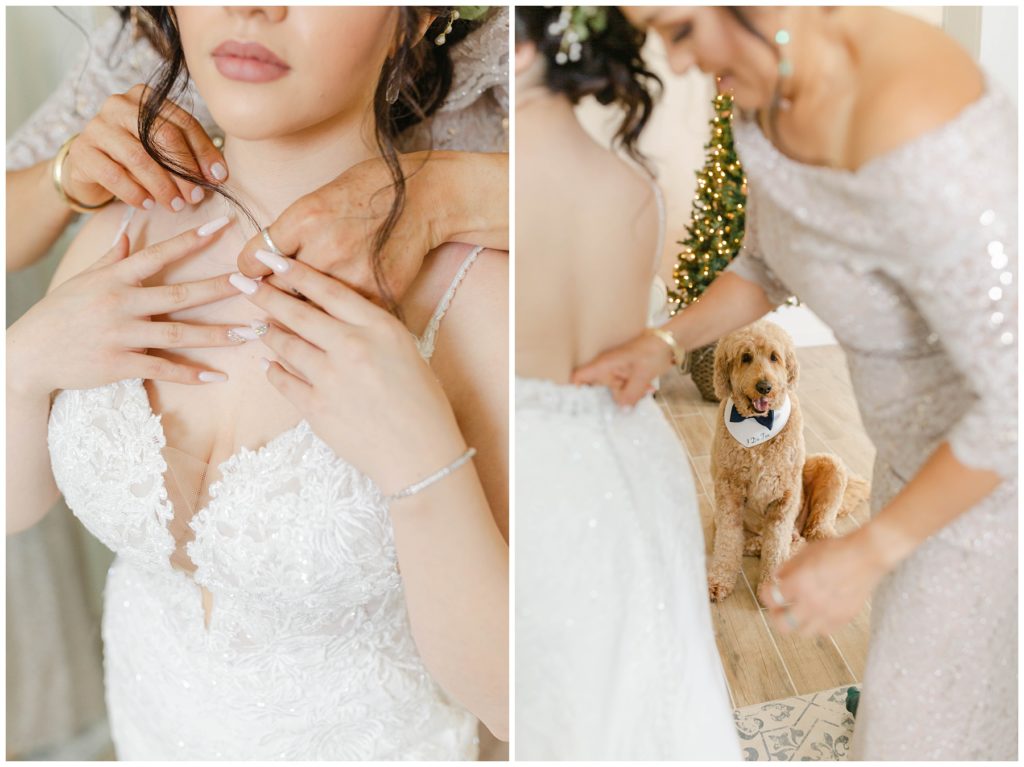 dog watching while bride gets ready