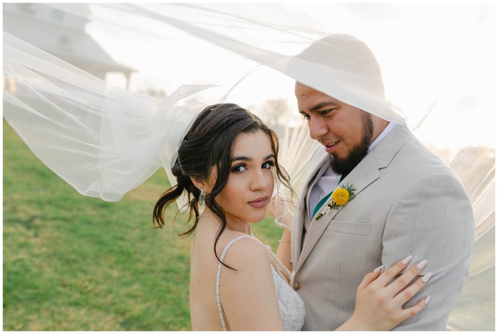 bride and groom kissing under wedding veil