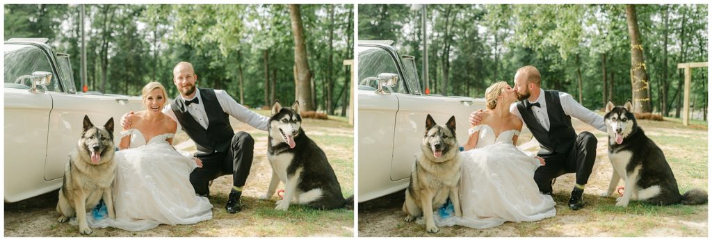 bride and groom with their two dogs