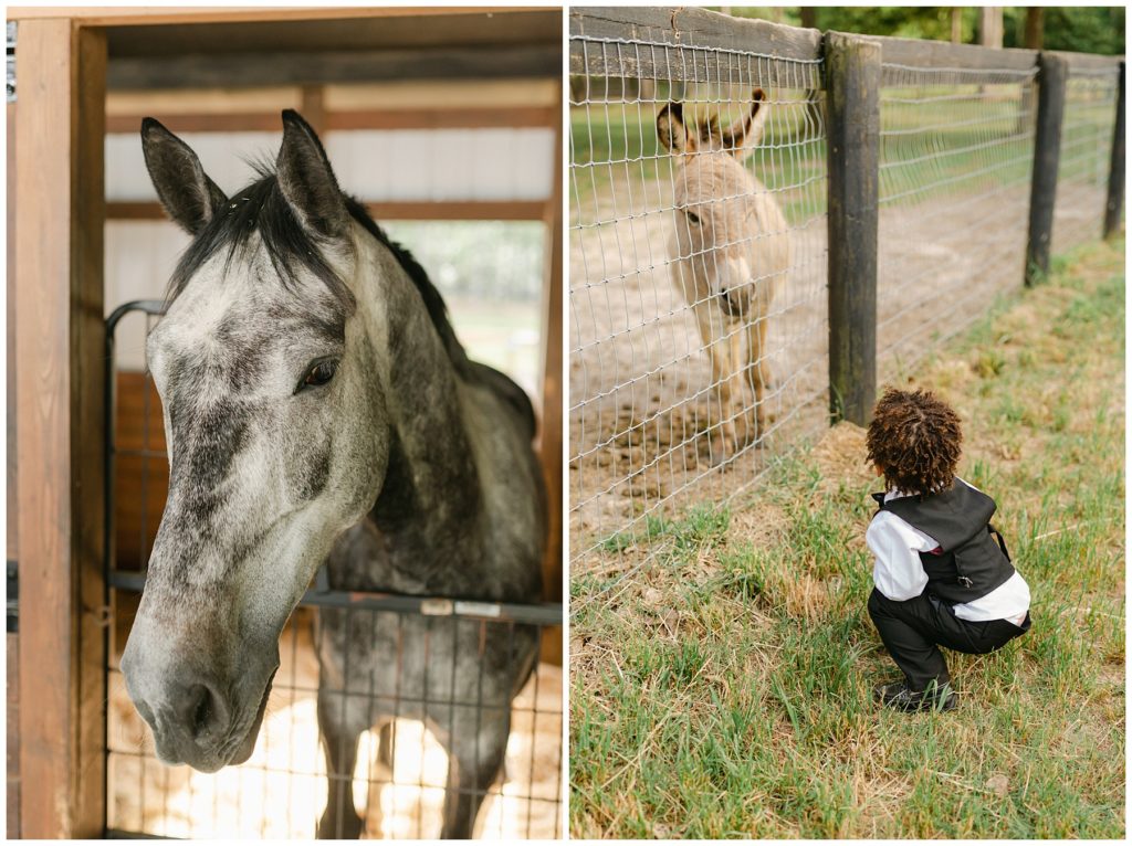 hours and donkey at outdoor South Carolina wedding