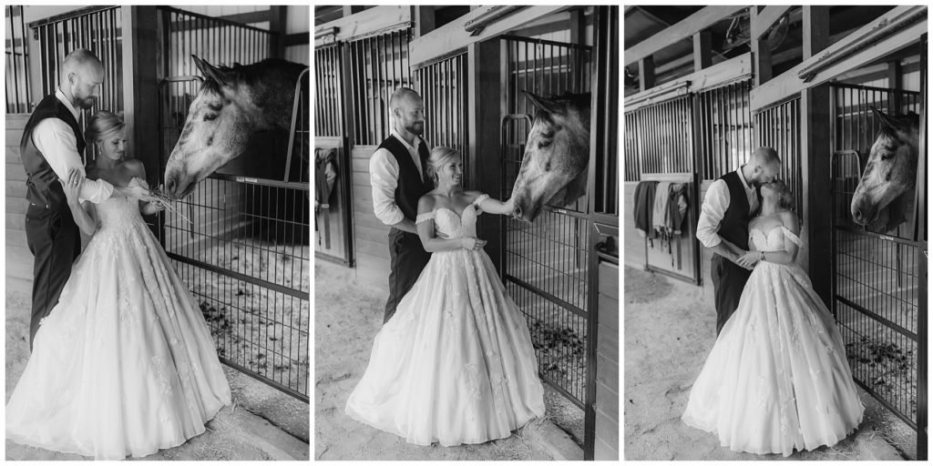 bride and groom feeding horse